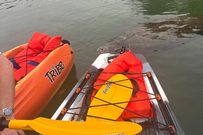 Un bateau avec des gilets de sauvetage orange et une pagaie jaune. 4