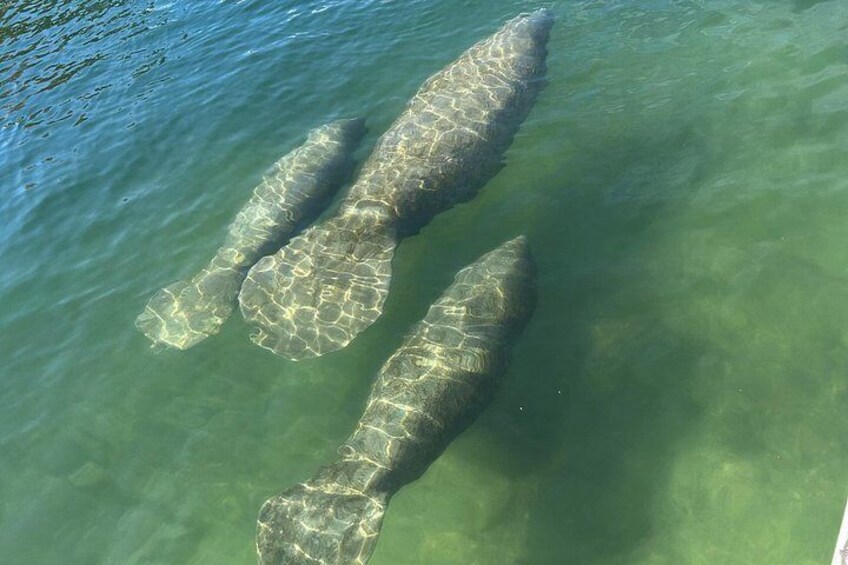 3 Hour Guided Tandem Kayak Adventure 2