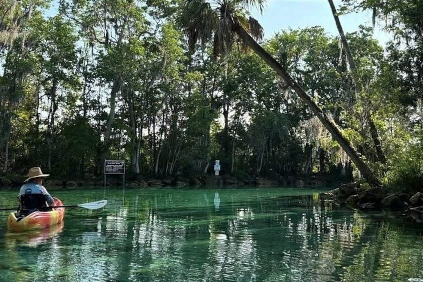 3 Hour Guided Single Kayak Adventure 2