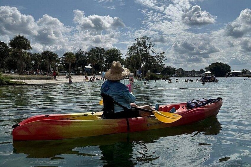 3 Hour Guided Single Kayak Adventure 4