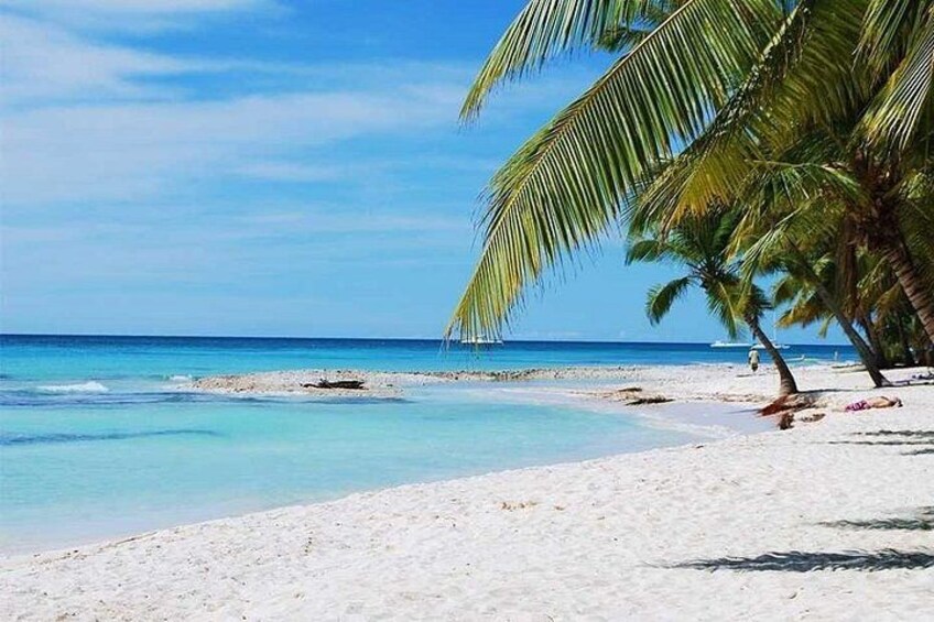 A beach with white sand, clear turquoise water, and palm trees. 3