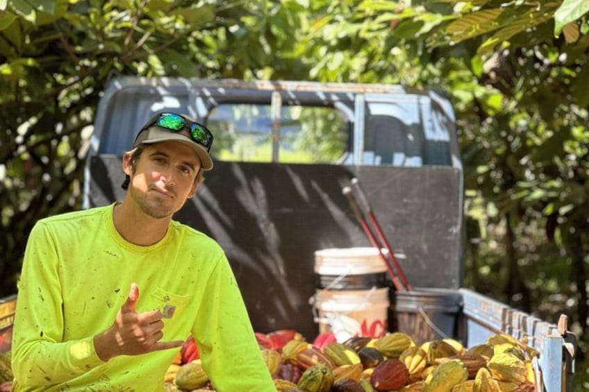 Big Island: Craft Chocolate Tasting and Farm Tour in Hilo 5