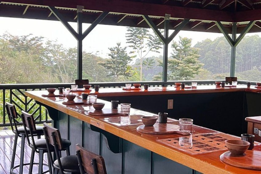 Big Island: Craft Chocolate Tasting and Farm Tour in Hilo 3