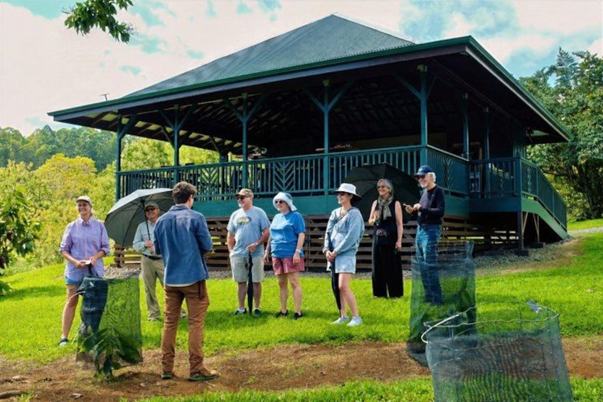 Big Island: Craft Chocolate Tasting and Farm Tour in Hilo 2