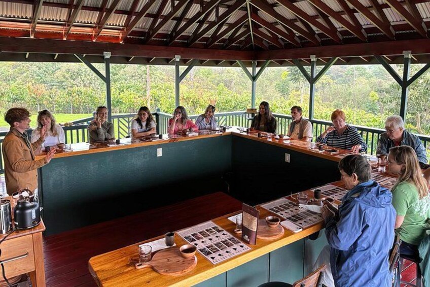 Big Island: Craft Chocolate Tasting and Farm Tour in Hilo 2