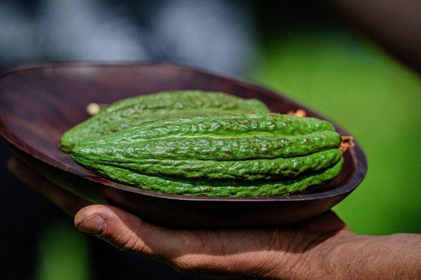 Big Island: Craft Chocolate Tasting and Farm Tour in Hilo 3