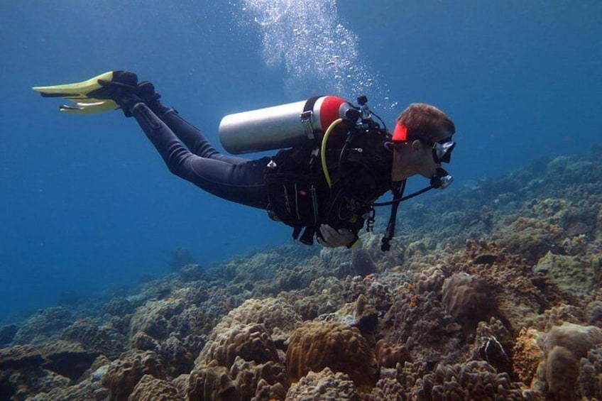 diving above coral reef on koh chang 2