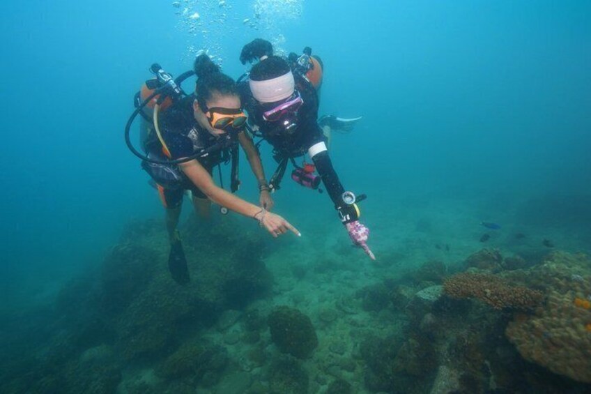 Discover Scuba diving, try diving for beginners (starts from Koh Chang) 3