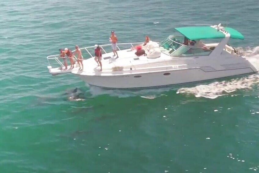 LA: Birthday Special Private Yacht (1 ticket covers 1-6 people) 2
