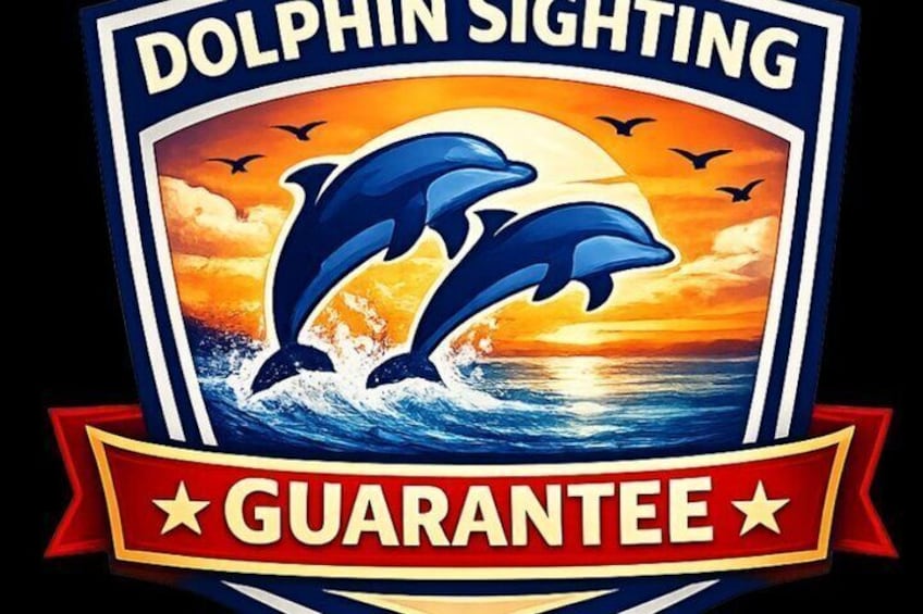 Fins Up - Dolphin & Island Sandbar Adventure in Clearwater Beach 4