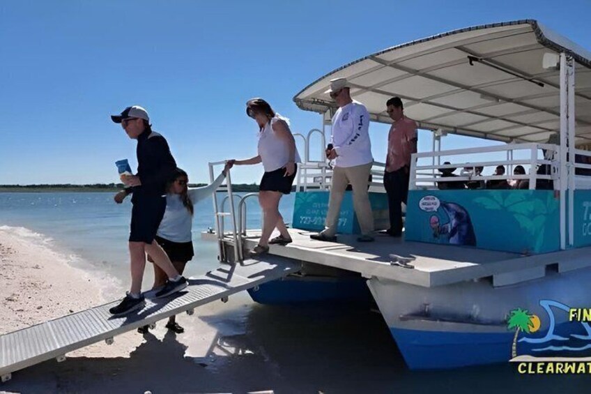 Fins Up - Dolphin & Island Sandbar Adventure in Clearwater Beach 5