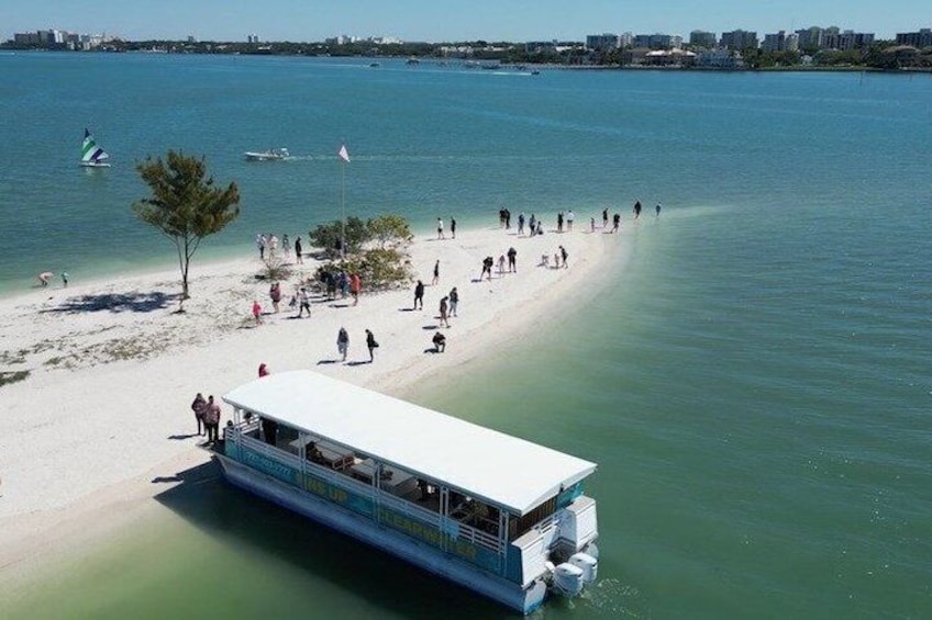 Fins Up - Dolphin & Island Sandbar Adventure in Clearwater Beach 3