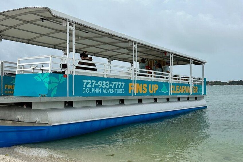 Fins Up - Dolphin & Island Sandbar Adventure in Clearwater Beach 4