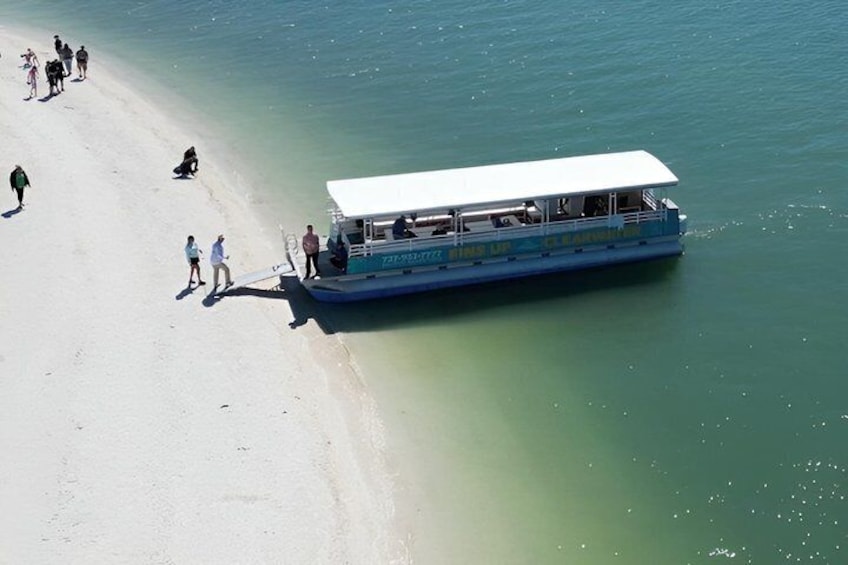 Fins Up - Dolphin & Island Sandbar Adventure in Clearwater Beach 2