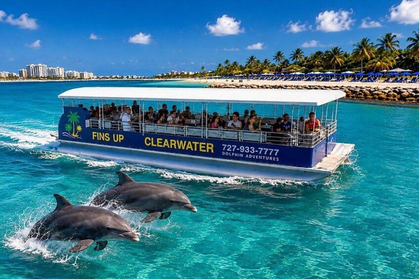 Fins Up - Dolphin & Island Sandbar Adventure in Clearwater Beach 2
