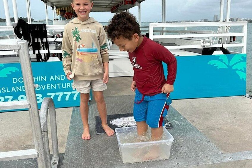 Fins Up - Dolphin & Island Sandbar Adventure in Clearwater Beach 5