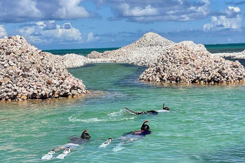 A group of people on surfboards in clear turquoise water, with rocky formations in the background. 4