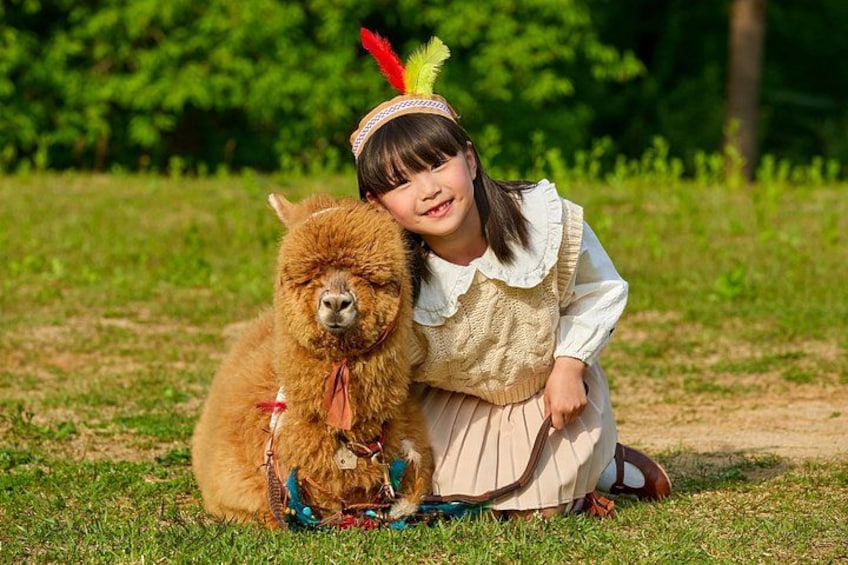 Alpaca World, Nami Island, Railbike and Light Festival from Seoul 2