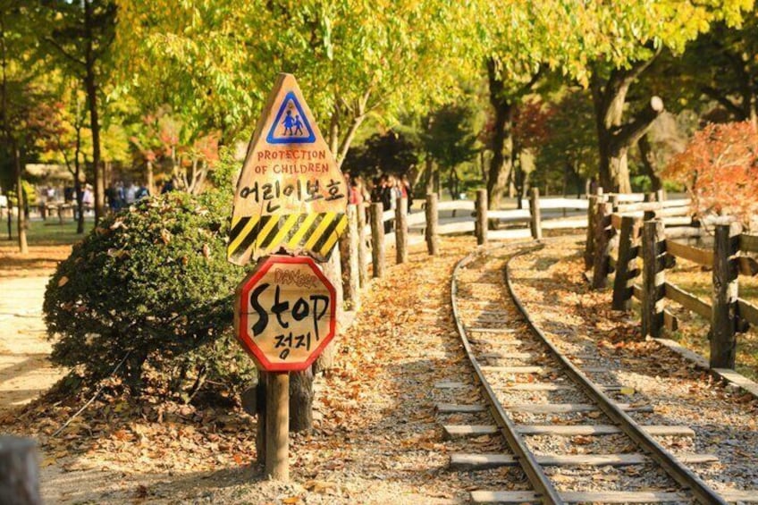 Alpaca World, Nami Island, Railbike and Light Festival from Seoul 2