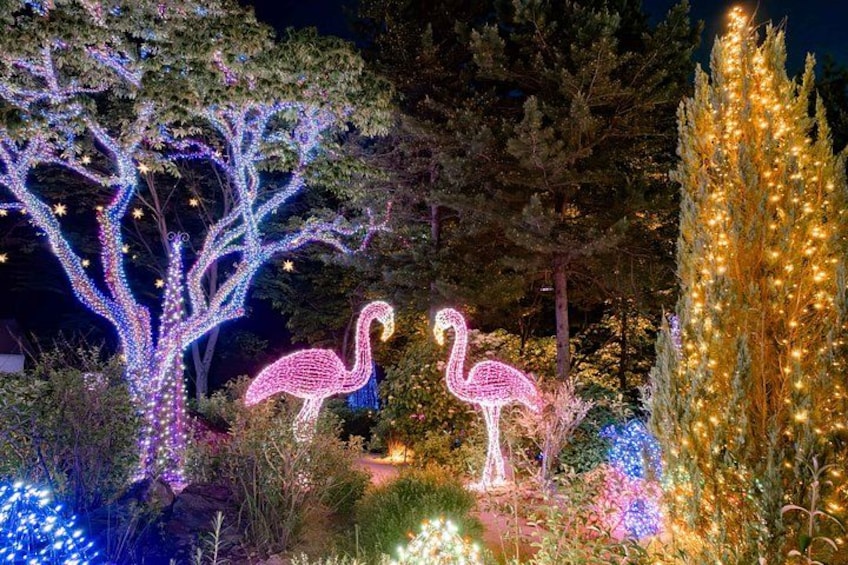 Oplyste træer og en flamingo skulptur i en have om natten. 3