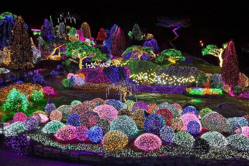 Alpaca World, Nami Island, Railbike and Light Festival from Seoul 4