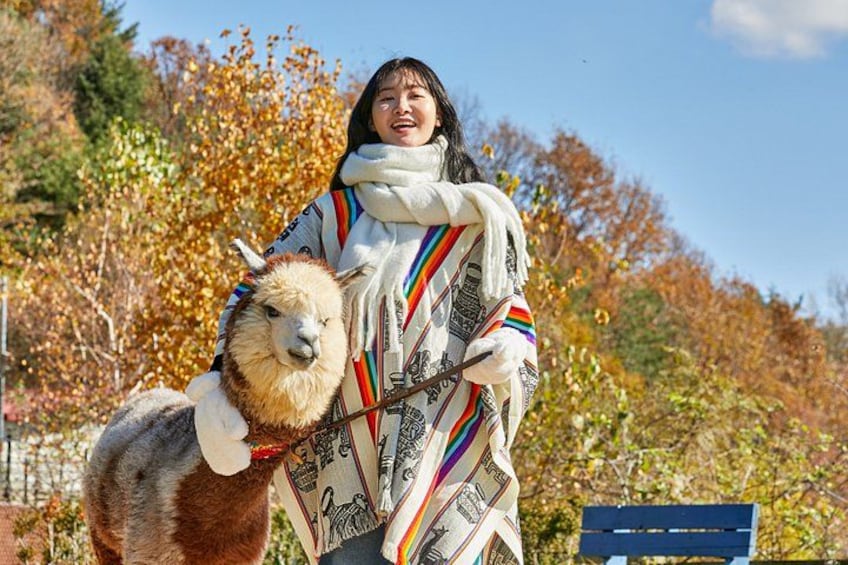 A person in a colorful blanket with a llama. 2