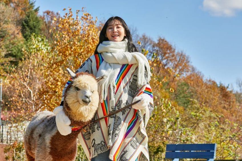 Una persona envuelta en una manta colorida con una llama. 3