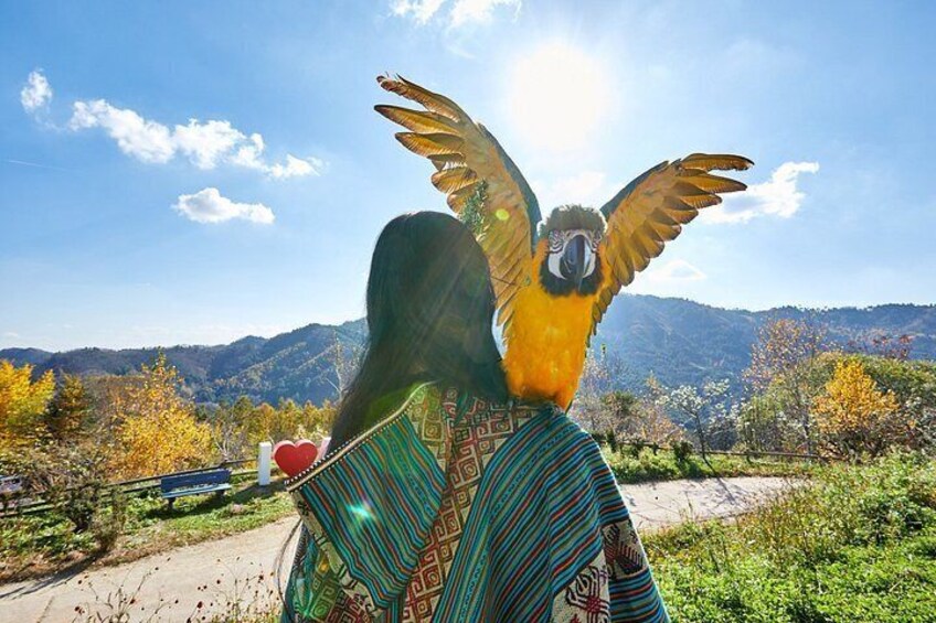 A person with a large bird on their back, a patterned garment, and a mountainous landscape with a clear sky. 2