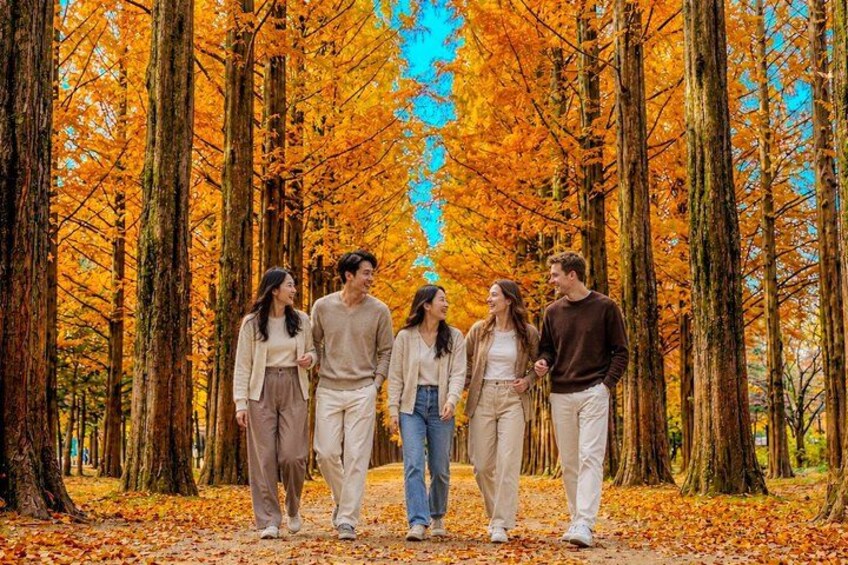 Un groupe de personnes se promène sur un sentier bordé d’arbres aux feuilles d’automne. 4