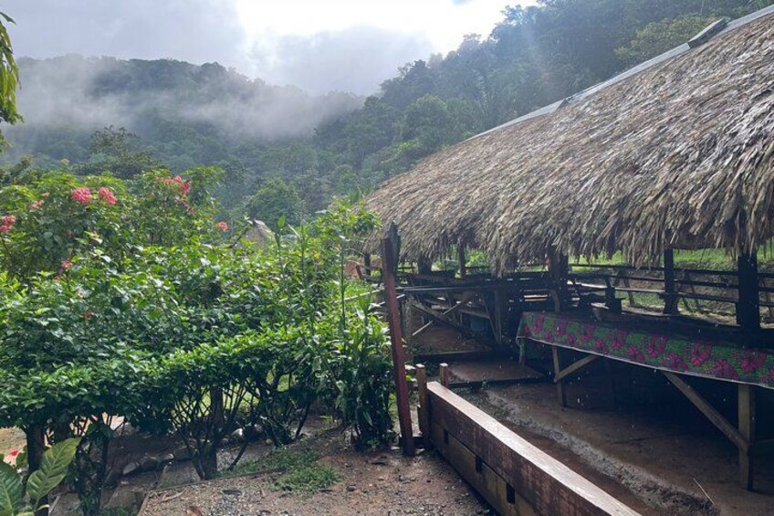 Panama City Visit an Indian town Embera and waterfall with lunch 4