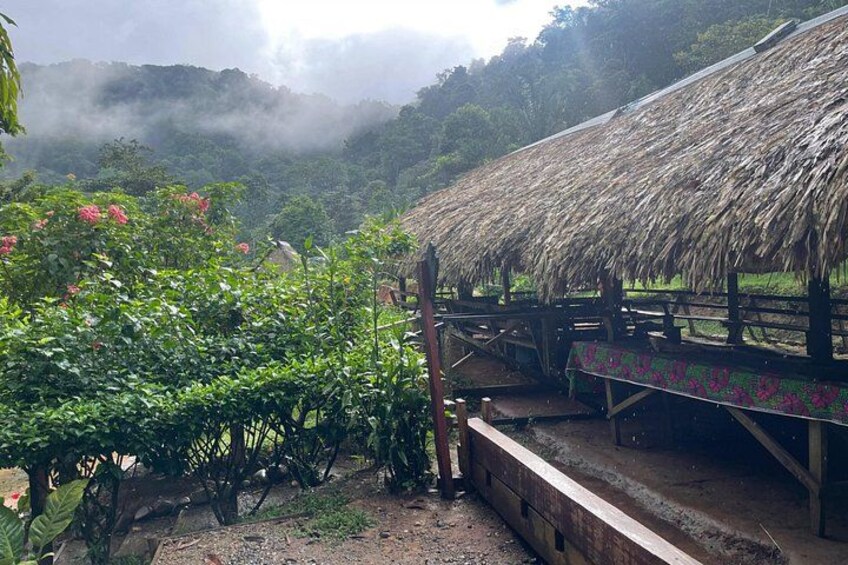 Panama City Visit an Indian town Embera and waterfall with lunch 3