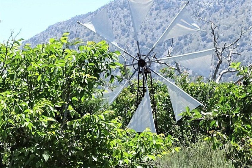 Small Group Tour to Zeus Cave Lasithi Plateau Pottery&Olive Mill 1