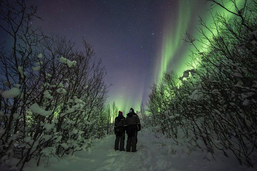 Small Group Quest to find the Northern Lights in Tromsø 4
