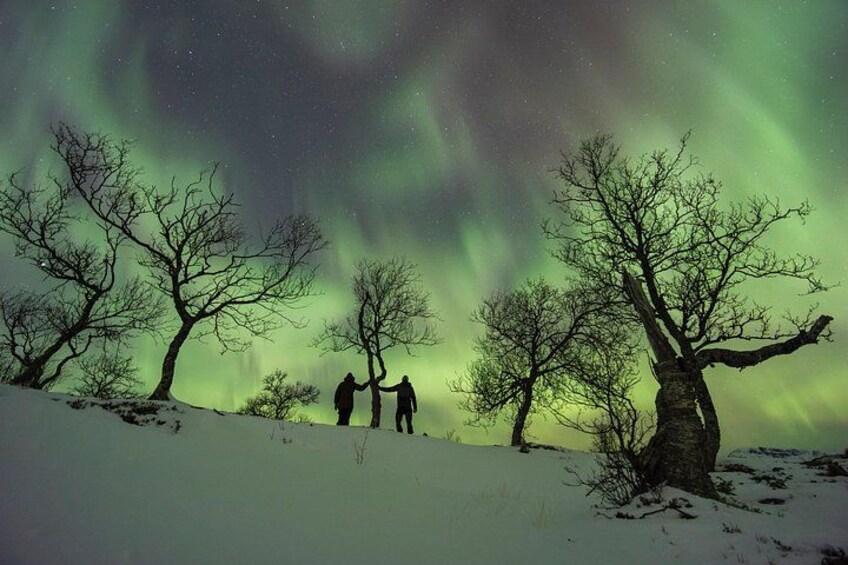 Small Group Quest to find the Northern Lights in Tromsø 3