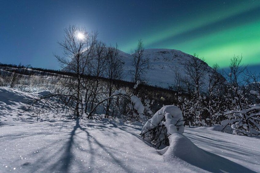Small Group Quest to find the Northern Lights in Tromsø 2
