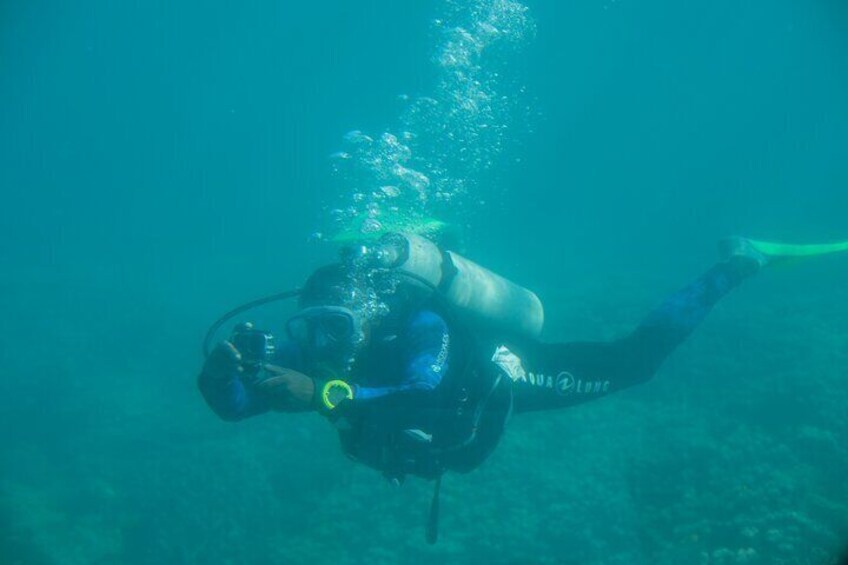 A diver underwater with a scuba mask and fins. 4