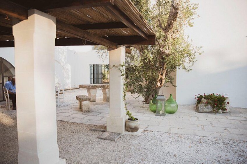 Cooking classe in a typical Farmhouse surrounded by Olive trees 3