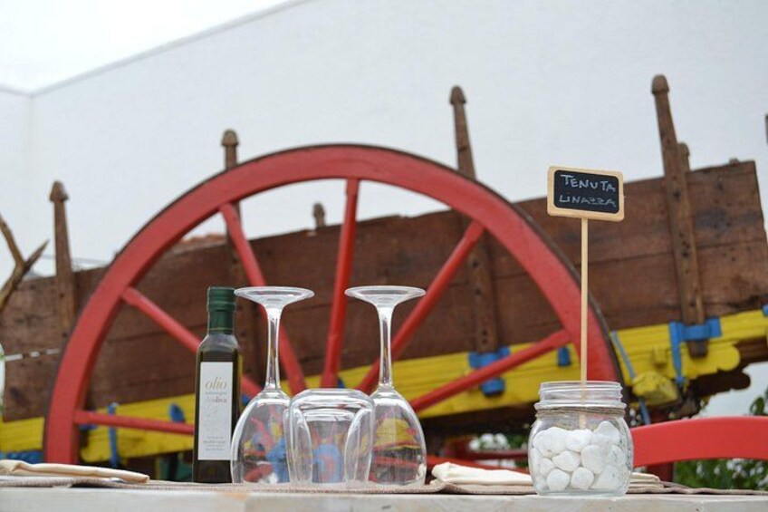 Cooking classe in a typical Farmhouse surrounded by Olive trees 4