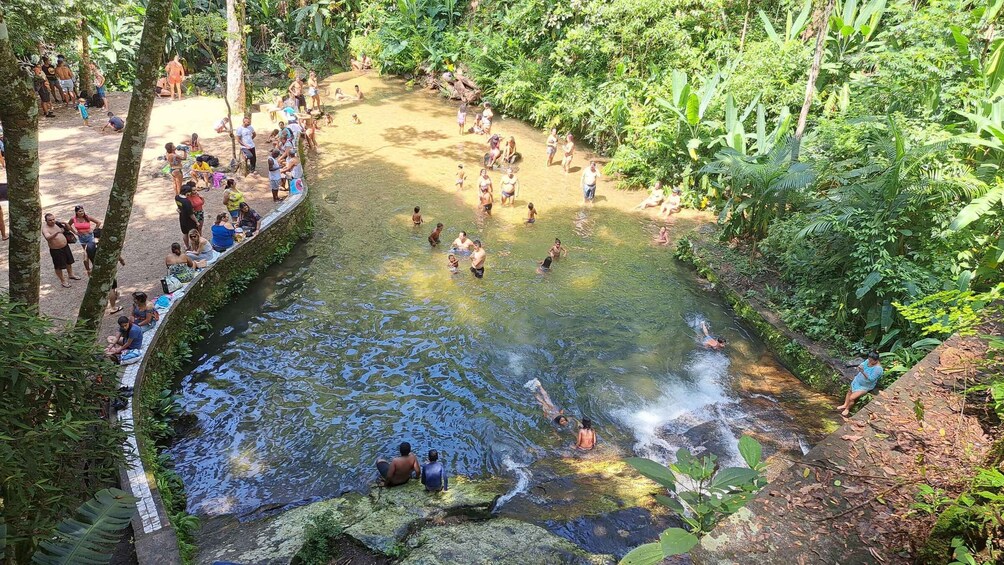 Picture 9 for Activity Rio: Half-Day Jeep Tour at Floresta da Tijuca 2