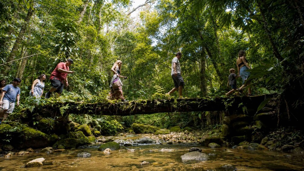 Picture 3 for Activity Rio: Half-Day Jeep Tour at Floresta da Tijuca 4