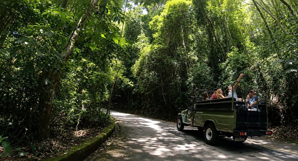 Picture 1 for Activity Rio: Half-Day Jeep Tour at Floresta da Tijuca 2