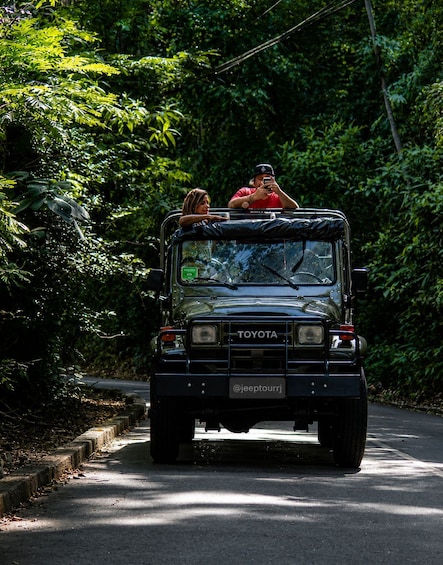 Picture 3 for Activity Rio: Half-Day Jeep Tour at Floresta da Tijuca 3