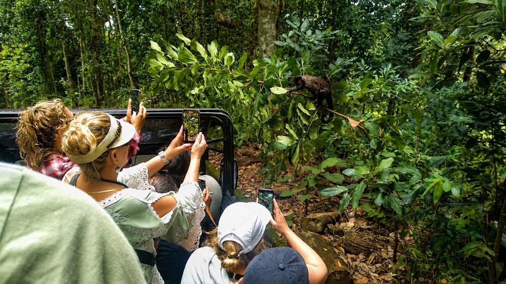 Picture 2 for Activity Rio: Half-Day Jeep Tour at Floresta da Tijuca 4