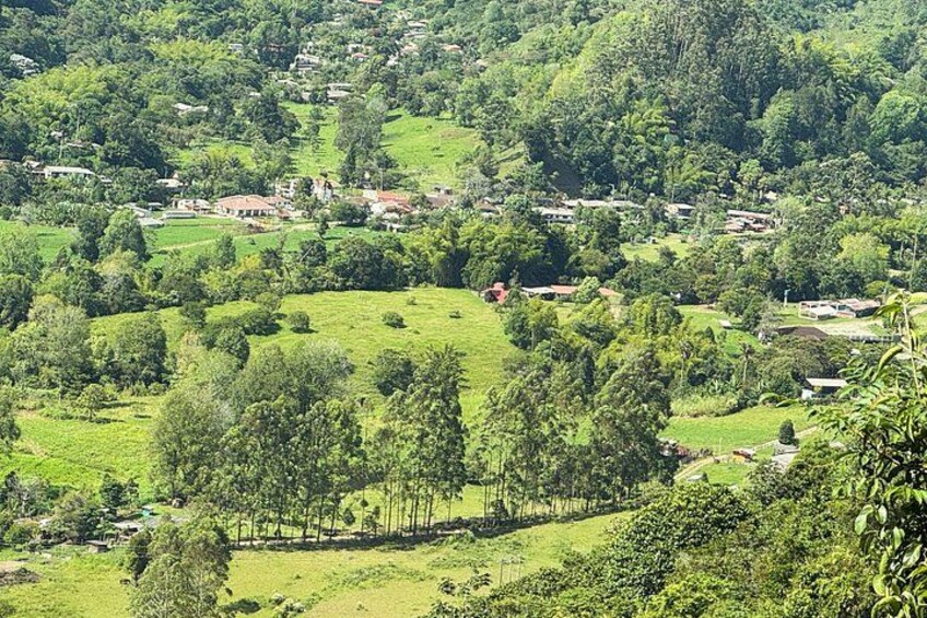 Private Tour to Salento, Cocora Valley and Philandia 5