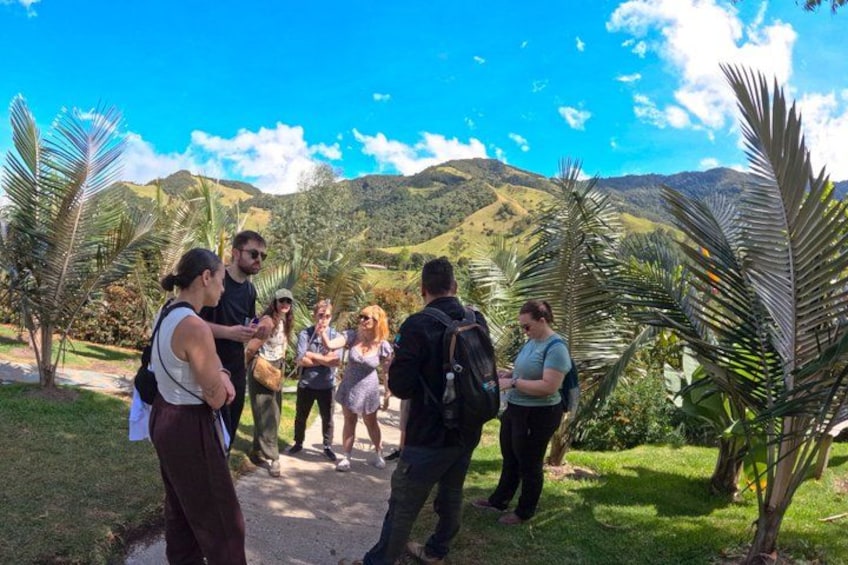 A group of people standing on a path surrounded by palm trees and mountains in the background. 1