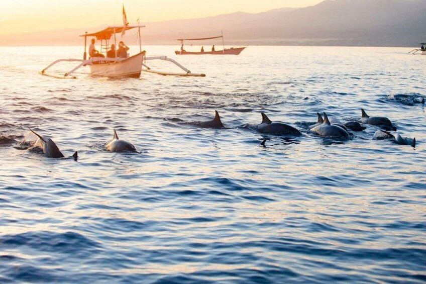 A boat with people on the water, dolphins swimming nearby, and a sunset in the background. 4
