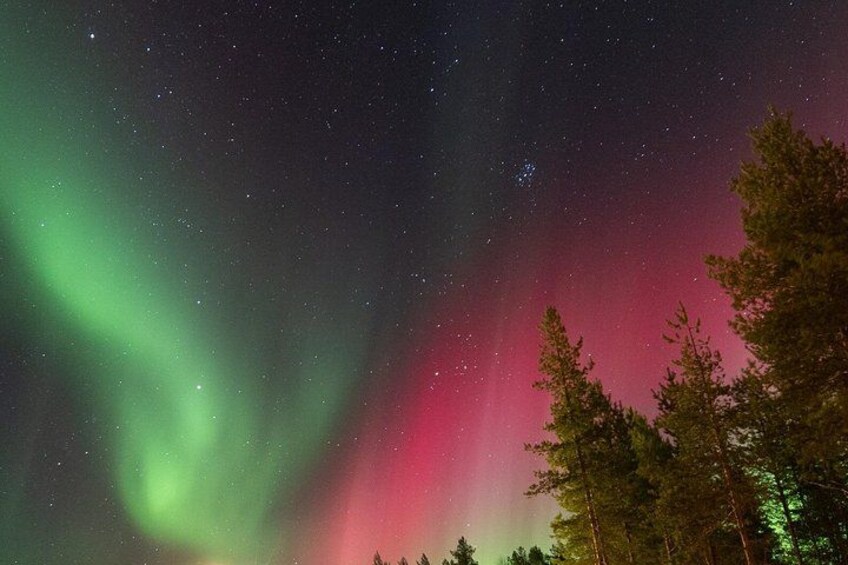 The Northern Lights over a forested landscape. 4