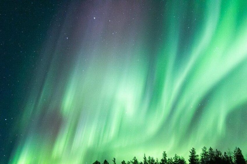 The Northern Lights over a forested landscape. 3