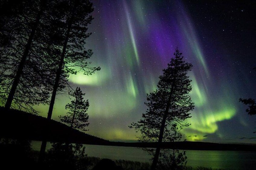 The Northern Lights over a forested area with a lake. 2