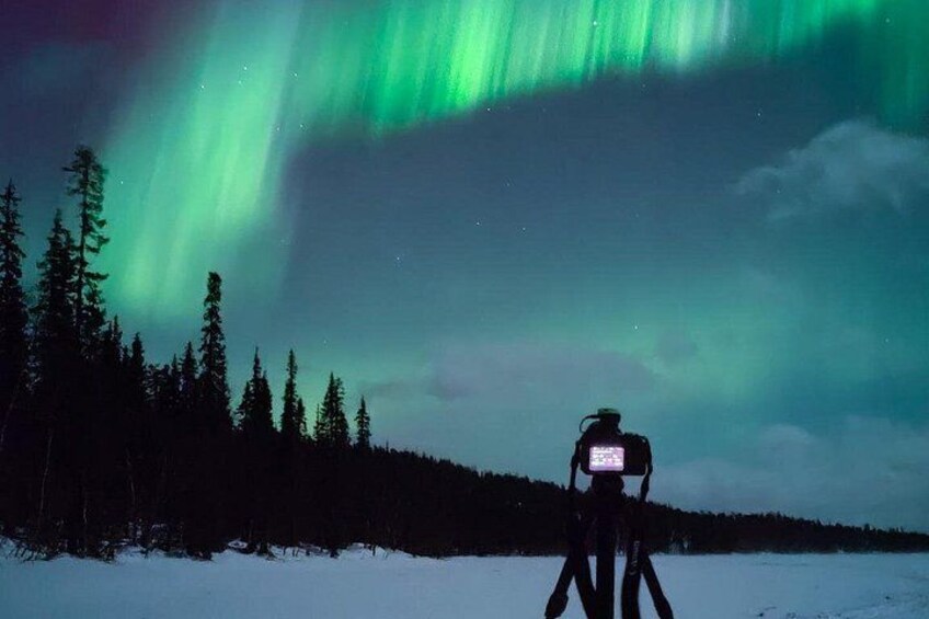 A person on a tripod in a snowy landscape with trees and the Northern Lights. 5